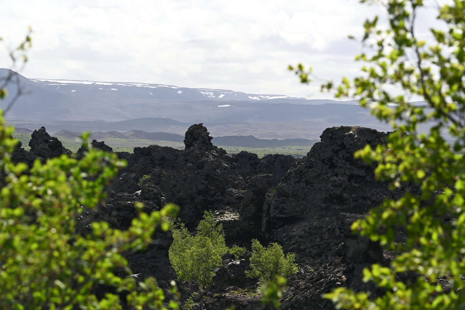 DSC_7738.JPG